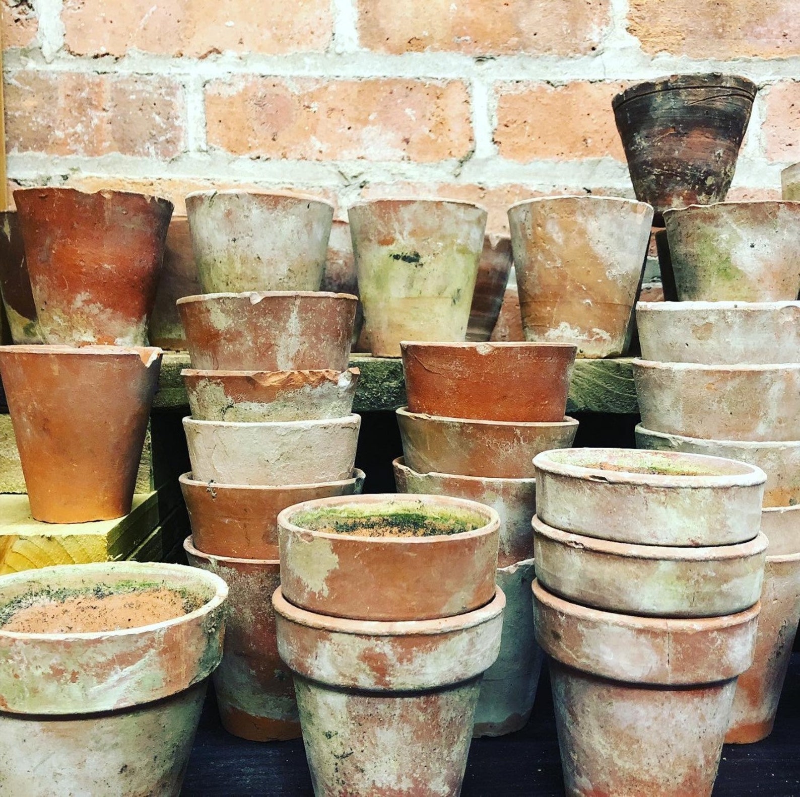 Vintage Terracotta Pots Etsy