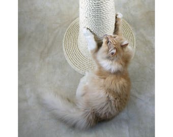 The Wizard's Hat: Vanilla Edition - Grand poteau à gratter pour chat en sisal fait à la main - Choisissez votre couleur préférée