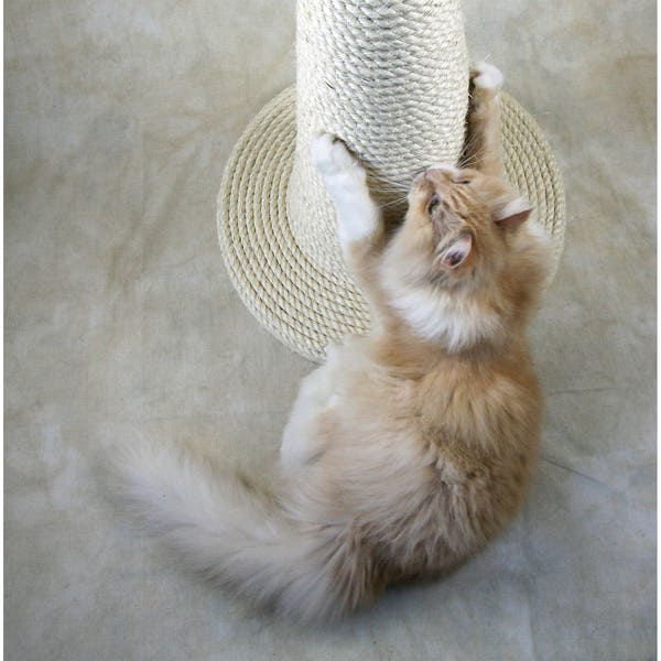 The Wizard's Hat: Vanilla Edition - Grand poteau à gratter pour chat en sisal fait à la main - Choisissez votre couleur préférée