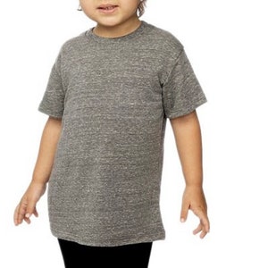 Massachusetts Toddler Tee - Grey