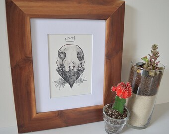 Cardinal Skull Pen and Graphite Fine Art Print
