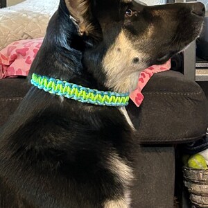 Reflective Dog Collar