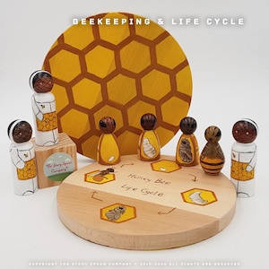 Bees. Beekeeper. Peg Dolls. Hive. Honeycomb. Life cycle. Science toy. Wooden toy. Honeybees. Playbase. STEAM. Educational toys. Montessori.
