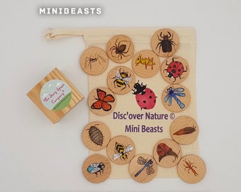 Insekten. Britische Vögel. Britische Tierwelt. Natur. Waldschule. Bienen. Käfer. Pilze. Holzspielzeug. Montessori. Waldorf. Frühe Jahre.