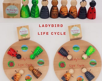 Life Cycle - sunflower - butterfly- wooden toys - Ladybird - educational - bee  - plant - frog - educational resources - STEAM - peg dolls