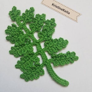 Applique de feuilles de fougère, applique de feuilles de fougère au crochet, motif de feuille de fougère, embellissement, couture, tricot, applique en coton, fabrication de cartes, scrapbooking, 14 cm