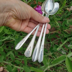 Collection of 4 Silver Ice Tea Spoons. Icecream Spoons. Tall drink Spoons. Polished and ready to use. Good Condition. Ships FREE in the USA