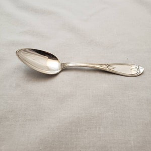 May include: A silver spoon with a rounded bowl and a slender handle. The handle features an ornate floral design near the bowl and at the end. The spoon is set against a neutral, light gray background.