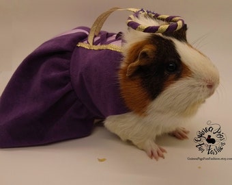 Medieval Princess Piggy - Guinea Pig Costume