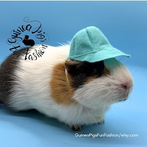 May include: A guinea pig wearing a light blue hat, set against a light blue background. The guinea pig has a mix of white, brown, and black fur. The image includes the text "Guinea Pigs Fun Fashion" and the Etsy shop URL.
