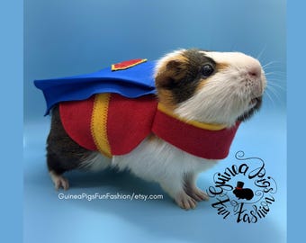 SuperPig Guinea Pig Costume