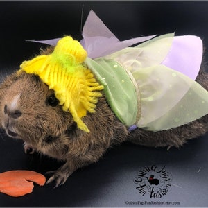 Magic Fairy Guinea Pig outfit/costume