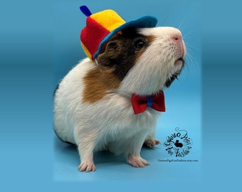 Spinny Top Guinea Pig Hat