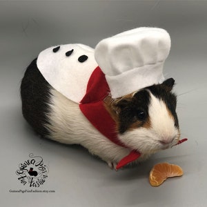 Italian Chef Guinea Pig Costume/outfit