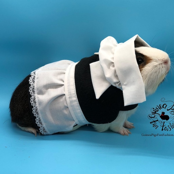 Pilgrim girl Guinea Pig costume