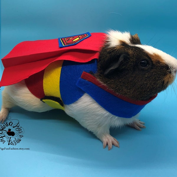 SuperPig Guinea Pig Costume