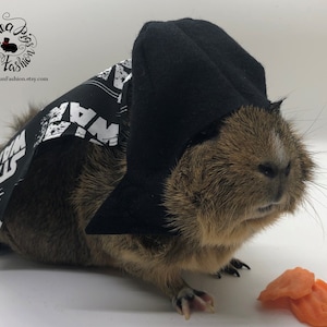Space Villane guinea pig outfit/costume