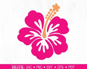 Hawaii Svg Etsy