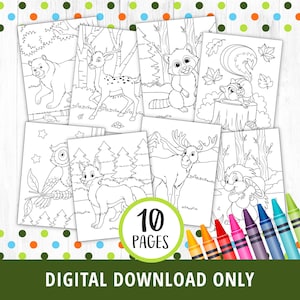 Woodland Forest Animals Coloring Pages, Woodland Animals Coloring Pages, Forest Animals Game Activity, Woodland Party, Bear Fox, DIGITAL