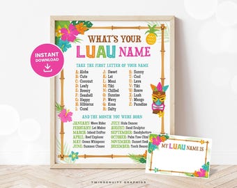 Luau Party Sign, What's Your Luau Name Sign, Tropical Birthday Theme, Luau Activity, Hawaiian Game, Summer Ice Breaker Printable DIGITAL