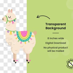 One of the llama clipart is shown against a transparent background and a colored background to show that the clipart has a transparent background. The text says "Transparent background, 8 inches wide, no physical products will be mailed." In the bottom corner there is a "no AI" badge.