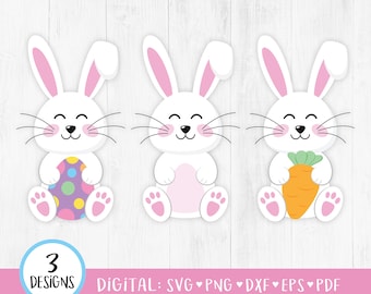 Easter Bunny SVG, Bunny Svg, Easter Svg, Easter Bunny Clipart, Easter Clipart, Easter Egg, Carrot, Cute Rabbit, Spring, Cricut, PNG Digital