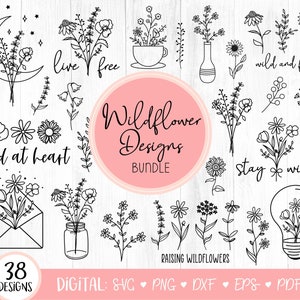 Pacote SVG de flores silvestres, SVG de flores silvestres, Citação de flores silvestres Svg, SVG floral botânico, Flor, Clipart de flores silvestres, Boho, Desenhado à mão, Cricut Png