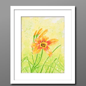 Orange Daylily