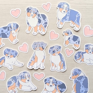 Blue Merle Australian Shepherd Puppy Stickers - Waterproof