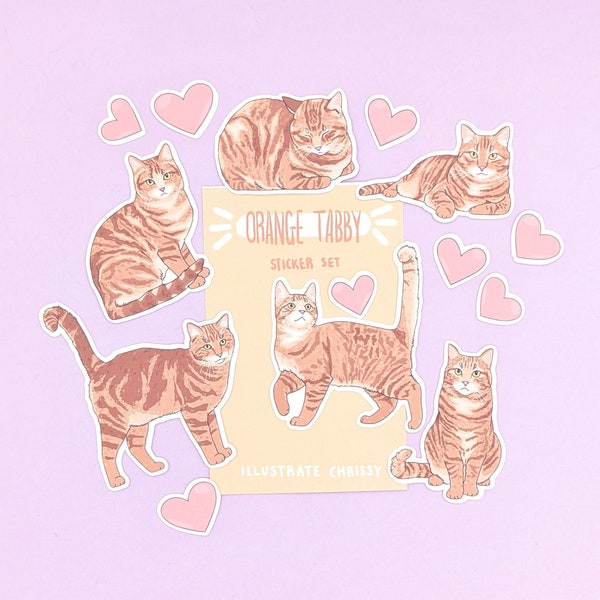 Short Hair Orange Tabby Cat Stickers - Cat Sticker Set