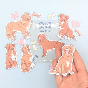 Nova Scotia Duck Tolling Retreiver Magnets - Refrigerator Magnets - Duck Toller Magnet Set