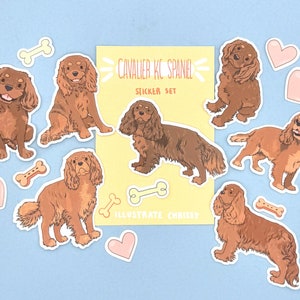 Adesivos Cavalier King Charles Spaniel - Ruby Spaniel - Conjunto de adesivos à prova d'água
