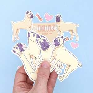 Stickers Cane Corso - Fawn Cane Corso Dog - Stickerset schattige hond