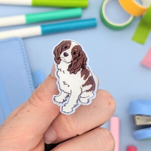 Cavalier King Charles Spaniel Pin