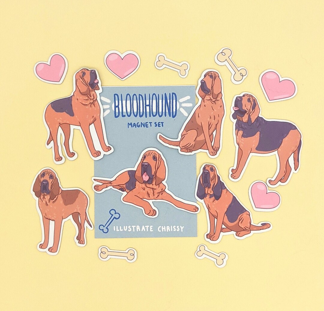 Bloodhound Magnets - Cute Dog Magnet Set - Cartoon Dog Refrigerator ...