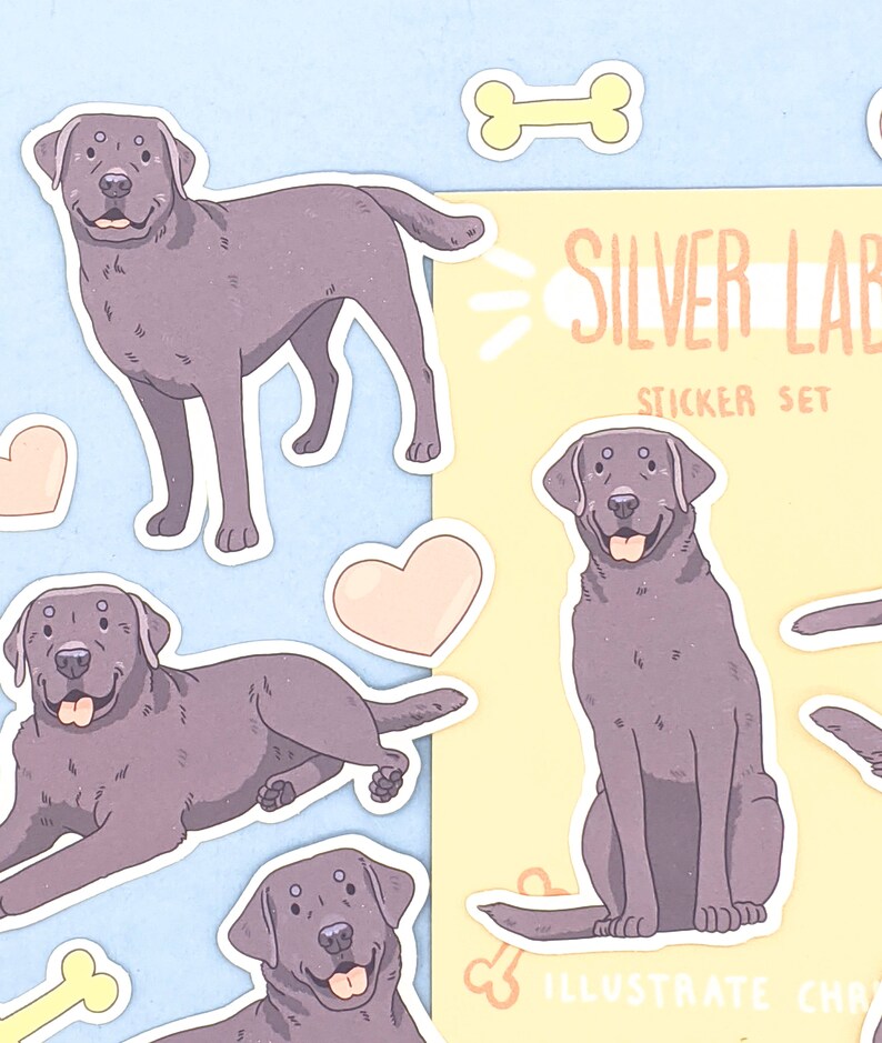 Pu&ograve; includere: Un set di adesivi con illustrazioni di un cane Labrador Retriever in varie pose. Gli adesivi sono in tonalit&agrave; di grigio e marrone, su uno sfondo azzurro e giallo. Il testo "Silver Lab Sticker Set" &egrave; visibile.