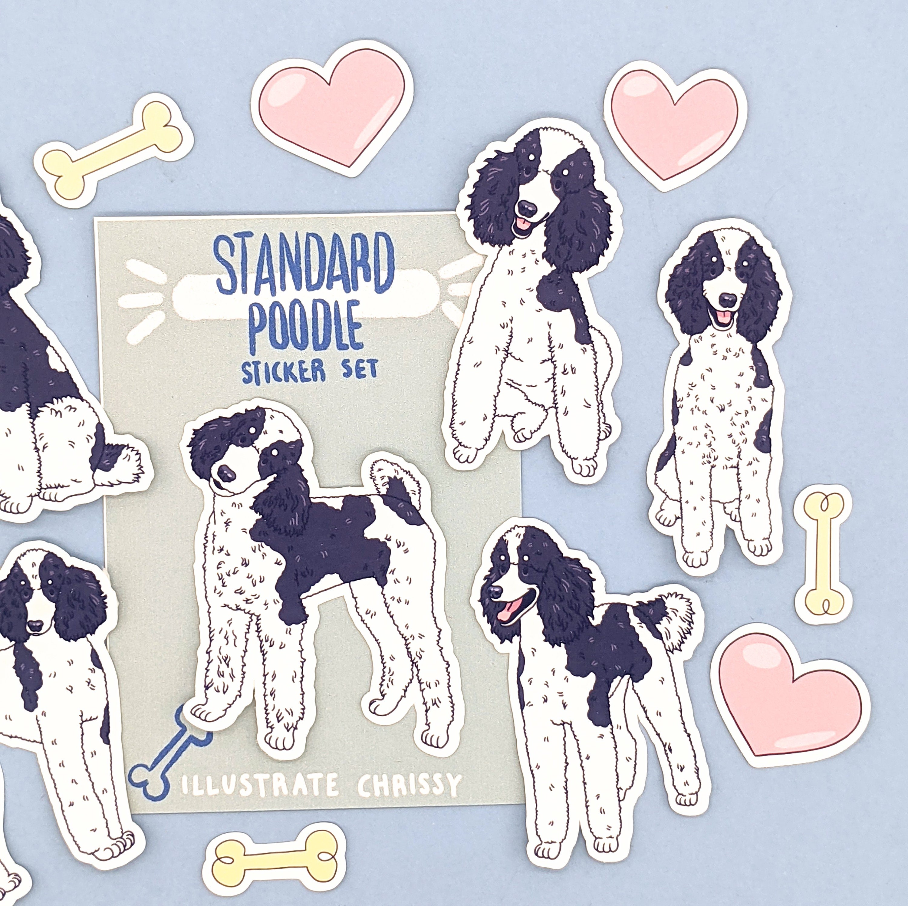toy parti poodle for sale australia