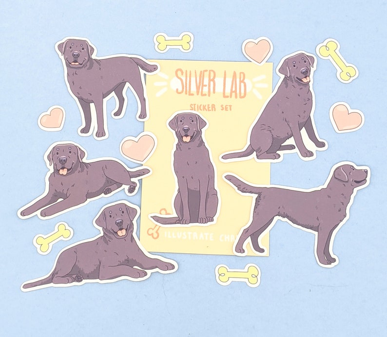 Pu&ograve; includere: Un set di adesivi con illustrazioni di Labrador Retriever argentati in varie pose. Il set include adesivi di cani, cuori e forme di ossa. Il testo "Silver Lab Sticker Set" &egrave; visualizzato su uno sfondo giallo.