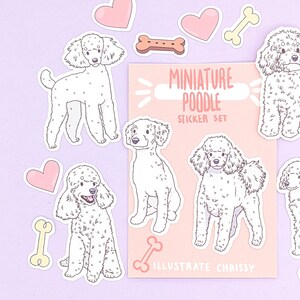 Op de afbeelding: Een set stickers met witte miniatuurpoedels in verschillende poses, waaronder zittend, staand en lopend. De stickers zijn op een roze achtergrond met de tekst "Miniature Poodle Sticker Set" en "Illustrate Chrissy". Er zijn ook roze harten en botvormige stickers.