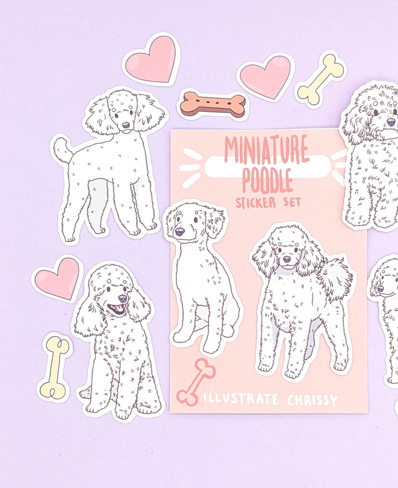 Op de afbeelding: Een set stickers met witte miniatuurpoedels in verschillende poses, waaronder zittend, staand en lopend. De stickers zijn op een roze achtergrond met de tekst "Miniature Poodle Sticker Set" en "Illustrate Chrissy". Er zijn ook roze harten en botvormige stickers.