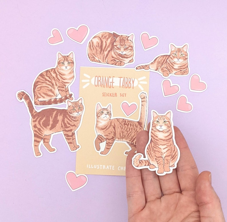 Short Hair Orange Tabby Cat Stickers - Cat Sticker Set - Etsy