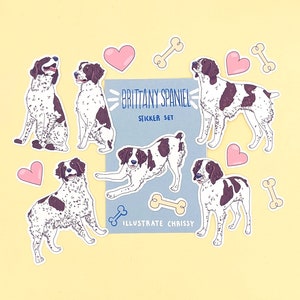 May include: A sticker set featuring illustrations of Brittany Spaniels in various poses. The set includes nine stickers: six dog stickers, two bone stickers, and one heart sticker. The stickers are printed on white paper with a blue background and the text "Brittany Spaniel Sticker Set" and "Illustrate Chrissy".