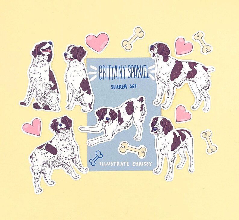 May include: A sticker set featuring illustrations of Brittany Spaniels in various poses. The set includes nine stickers: six dog stickers, two bone stickers, and one heart sticker. The stickers are printed on white paper with a blue background and the text "Brittany Spaniel Sticker Set" and "Illustrate Chrissy".
