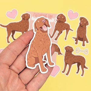 Chesapeake Bay Retriever Stickers - Cute Dog Sticker Set - Dog Lover Gift