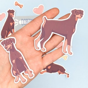 May include: A set of five stickers featuring brown and black Doberman Pinscher dogs in various poses. The stickers are on a light blue background with pink hearts and a bone.
