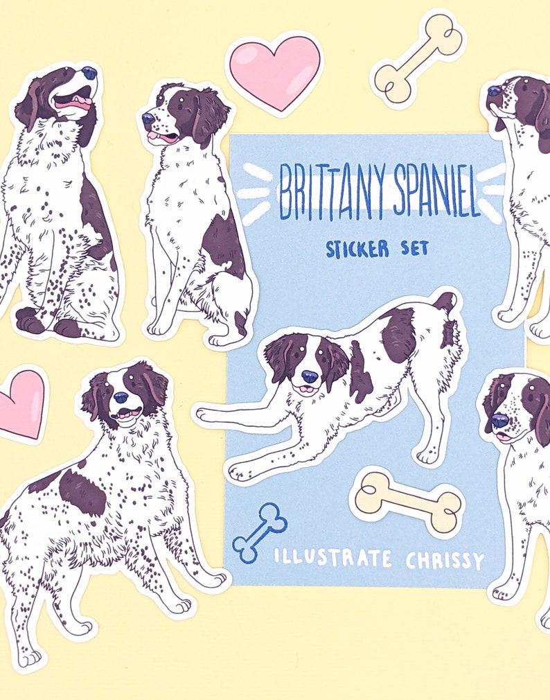 May include: A sticker set featuring illustrations of Brittany Spaniels in various poses. The stickers are on a light blue background with the text "Brittany Spaniel Sticker Set" and "Illustrate Chrissy".