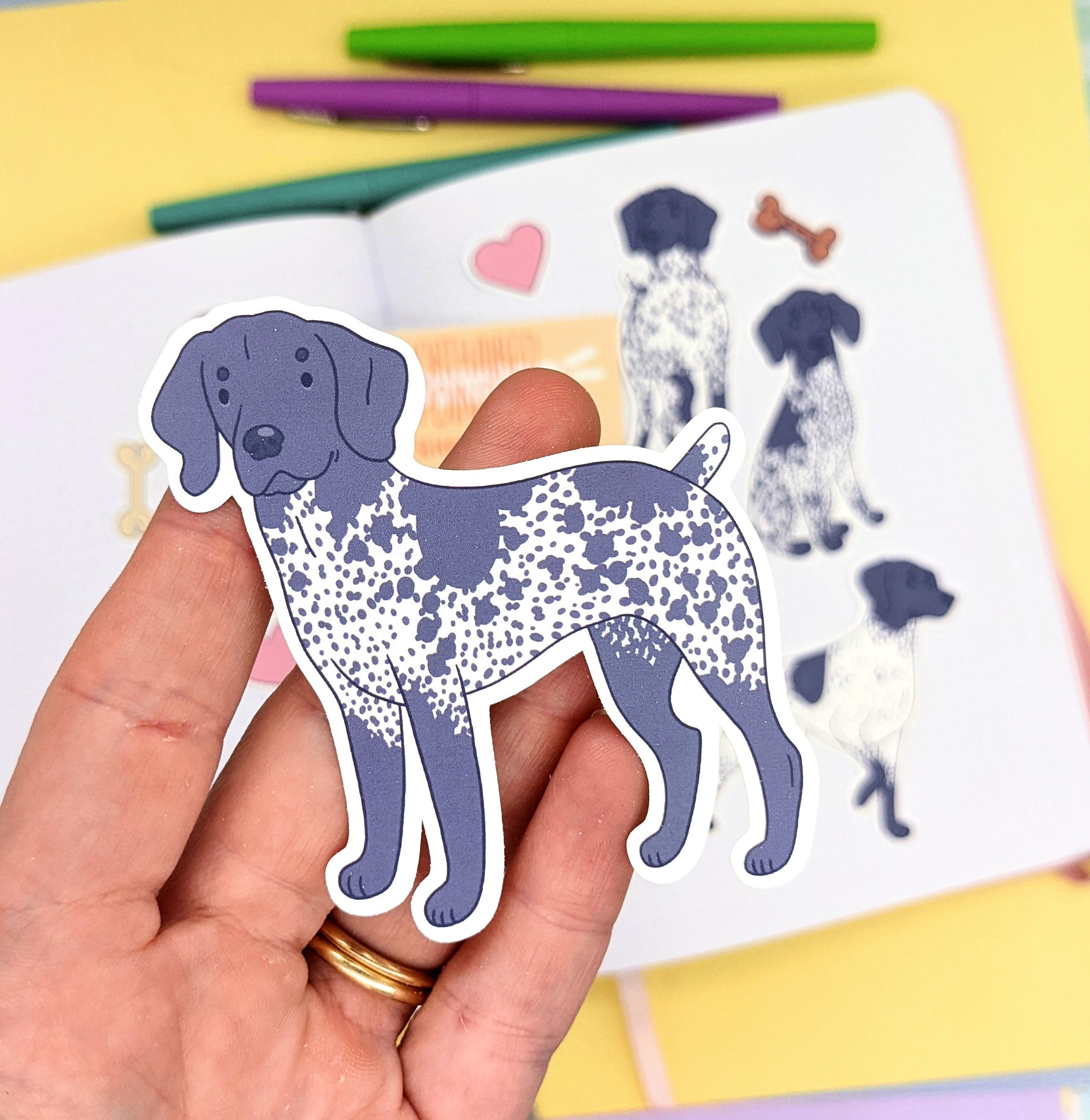 Ho un lapphund finlandese, sono normalmente così carini??? : r/Finland, image size:2309x2372