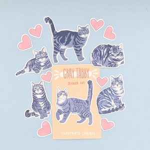 Short Hair Gray Tabby Cat Stickers - Cat Sticker Set
