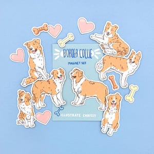 Gold Border Collie Magnet Set - Cute Dog Magnets
