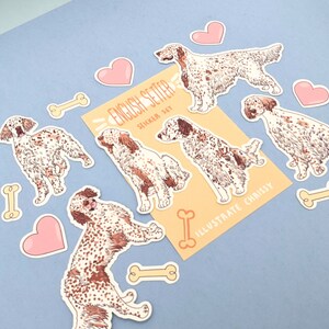 Pu&ograve; includere: Un set di adesivi di cani Setter inglese che mostrano illustrazioni della razza in varie pose. Gli adesivi sono su uno sfondo bianco con uno striscione giallo che recita "English Setter Sticker Set" e "Illustrate Chrissy".